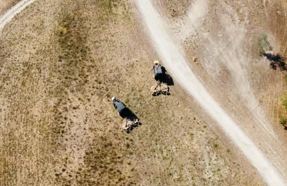 Tonte et débroussaillage bordure de rivière vallée du rhône